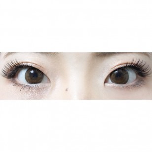 FLANMY Dark Mocha 10片裝